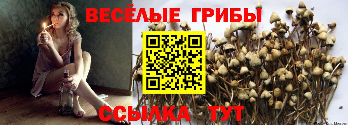 Псилоцибиновые грибы прущие грибы  Вход с VPN  Калининград 