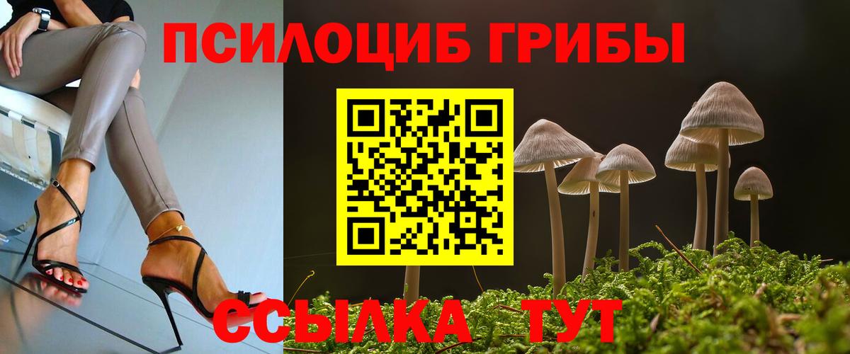  COCAIN Калининград